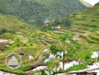 Batad Rice Terraces in the Philippines (2)