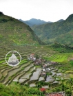 Batad Rice Terraces in the Philippines (1)