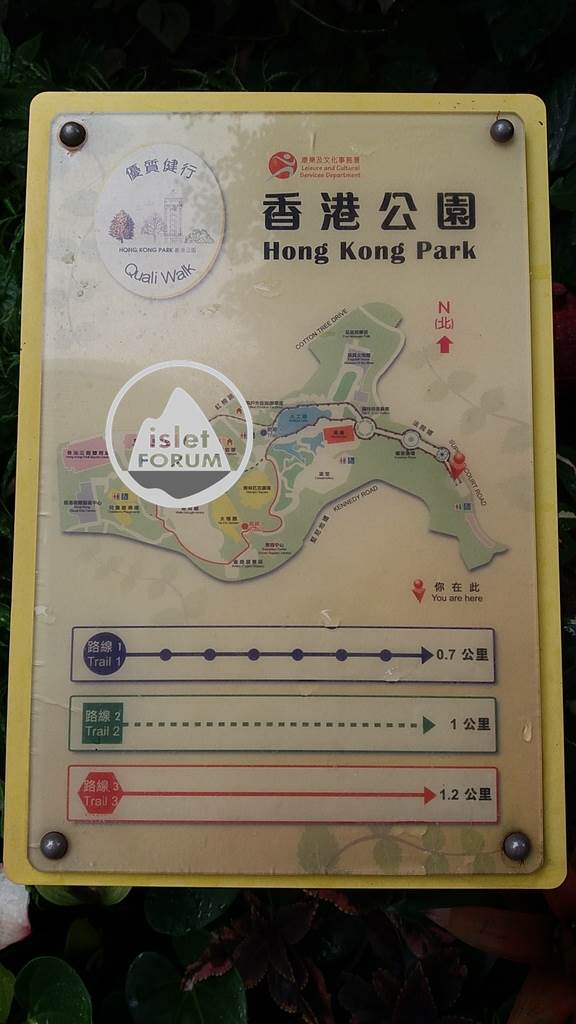 香港公園hong kong park (29).jpg