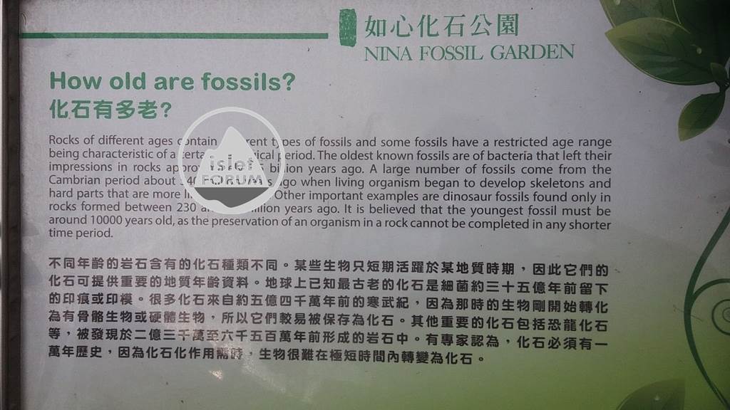 如心化石公園 Nina Fossil Garden (12).jpg