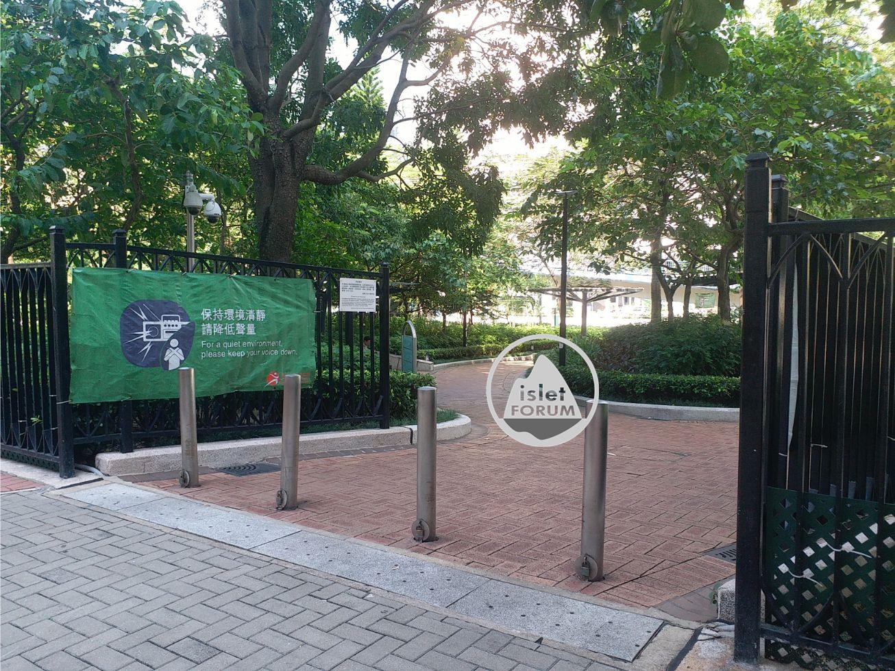 櫻桃街公園cherry street park (14).jpg