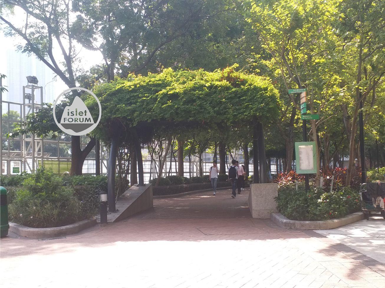 櫻桃街公園cherry street park (5).jpg