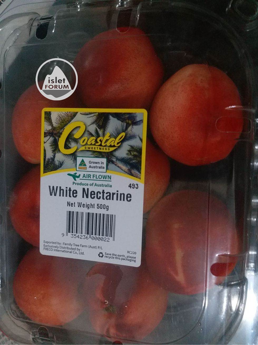 White Nectarine (1).jpg
