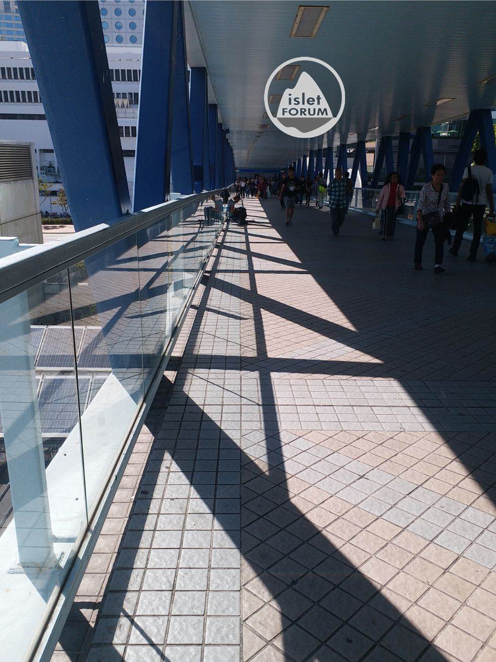 中區行人天橋系統 Central Elevated Walkway  (7).jpg