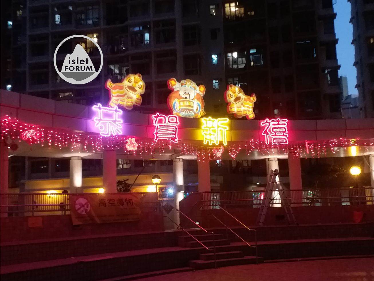 香港農曆新年（鼠年）裝飾 cny decoration (1).jpg