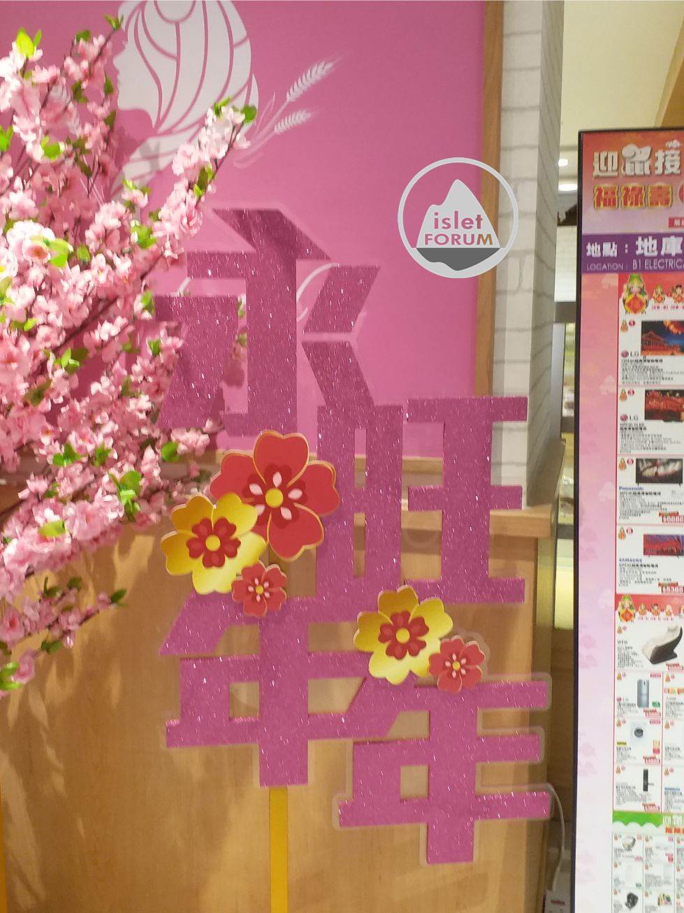 香港農曆新年（鼠年）裝飾 cny decoration (16).jpg