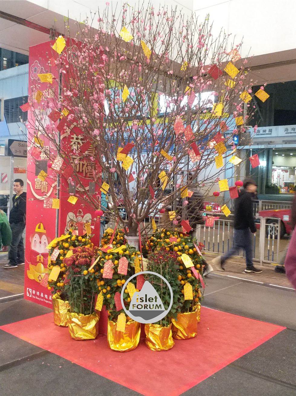 香港農曆新年（鼠年）裝飾 cny decoration (5).jpg