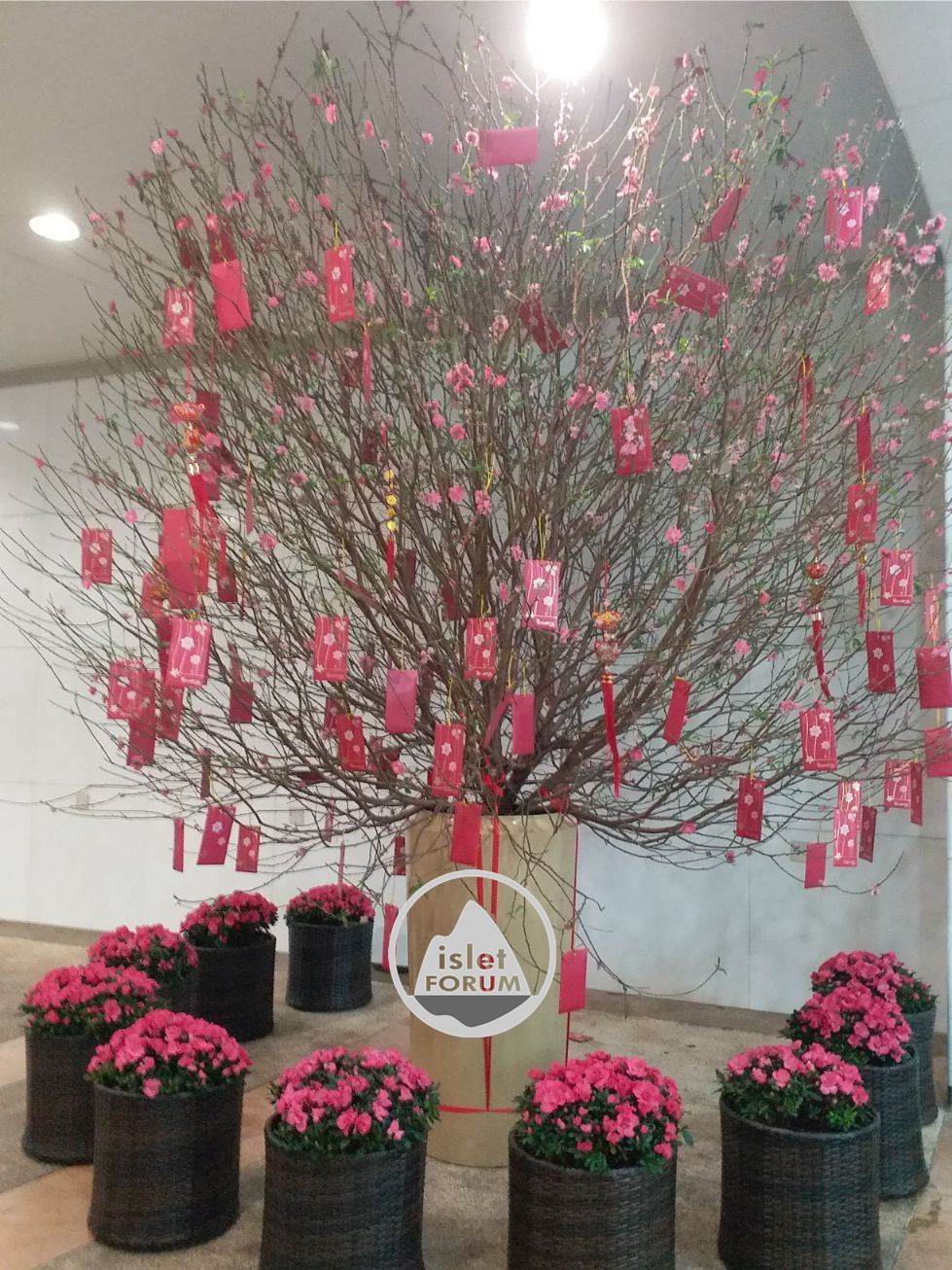 香港農曆新年（鼠年）裝飾 cny decoration (15).jpg