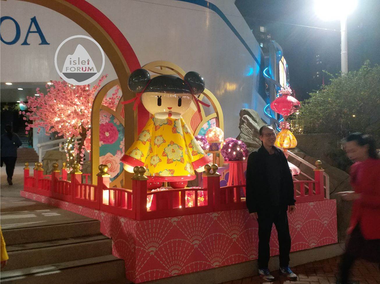 香港農曆新年（鼠年）裝飾 cny decoration (12).jpg