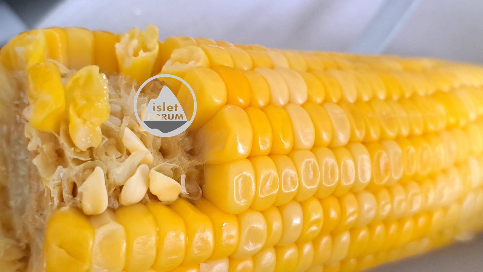 sweet corn (2).jpg