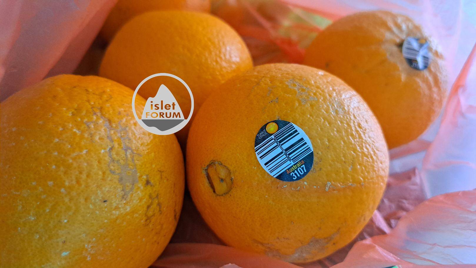 澳洲橙 Australia 3107 Tumut Citrus.jpg