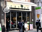 The Cactus Bar & Grill @ Wanchai 灣仔 (closed)
